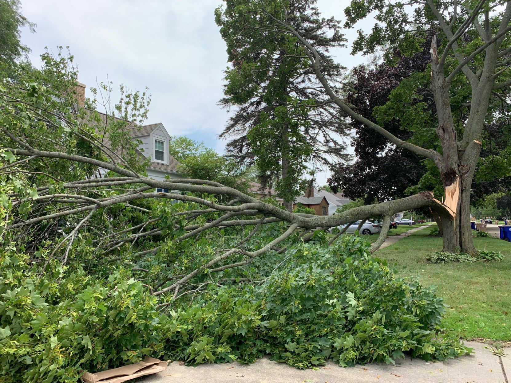 Aug. 10 storm damage